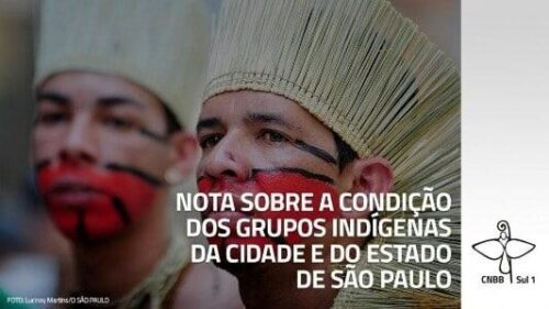 Pandemia indigena