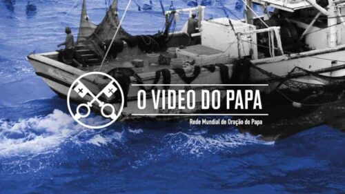 video papa agosto