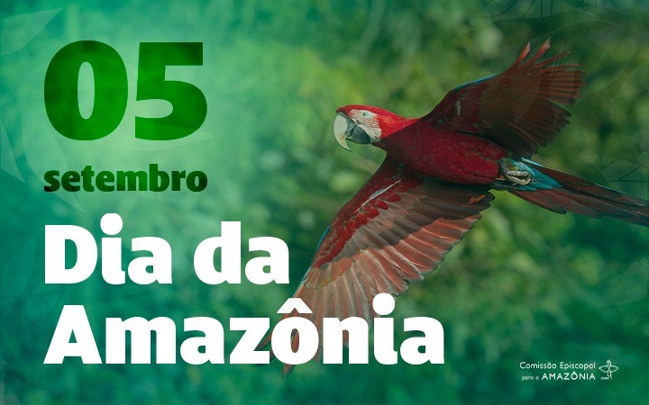 Presidentes da Comissão para a Amazônia da CNBB e da REPAM-Brasil pedem uma política &#8216;para o bem comum na Amazônia&#8217;, Jornal O São Paulo