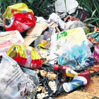 Os desafios para reciclar e reutilizar em meio à cultura do descarte