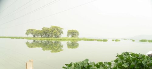 Banco Mundial aprova projeto de financiamento climático para o Brasil - Jornal O São Paulo