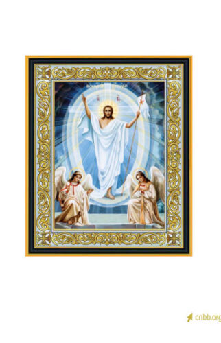 Oitava de Páscoa: Dom Joel Portella Amado faz votos que a alegria da ressurreição chegue a todas as famílias - Jornal O São Paulo