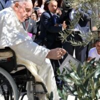 Papa-rega-plantas-JMJ-2023_Vatican-News