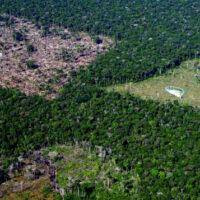 andi.org.br-desmatamento-nos-biomas-do-brasil-cresceu-223-em-2022-desmatamento-635×357
