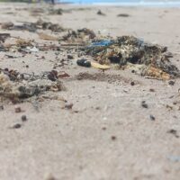 Praia-poluida_JornaldaUSP