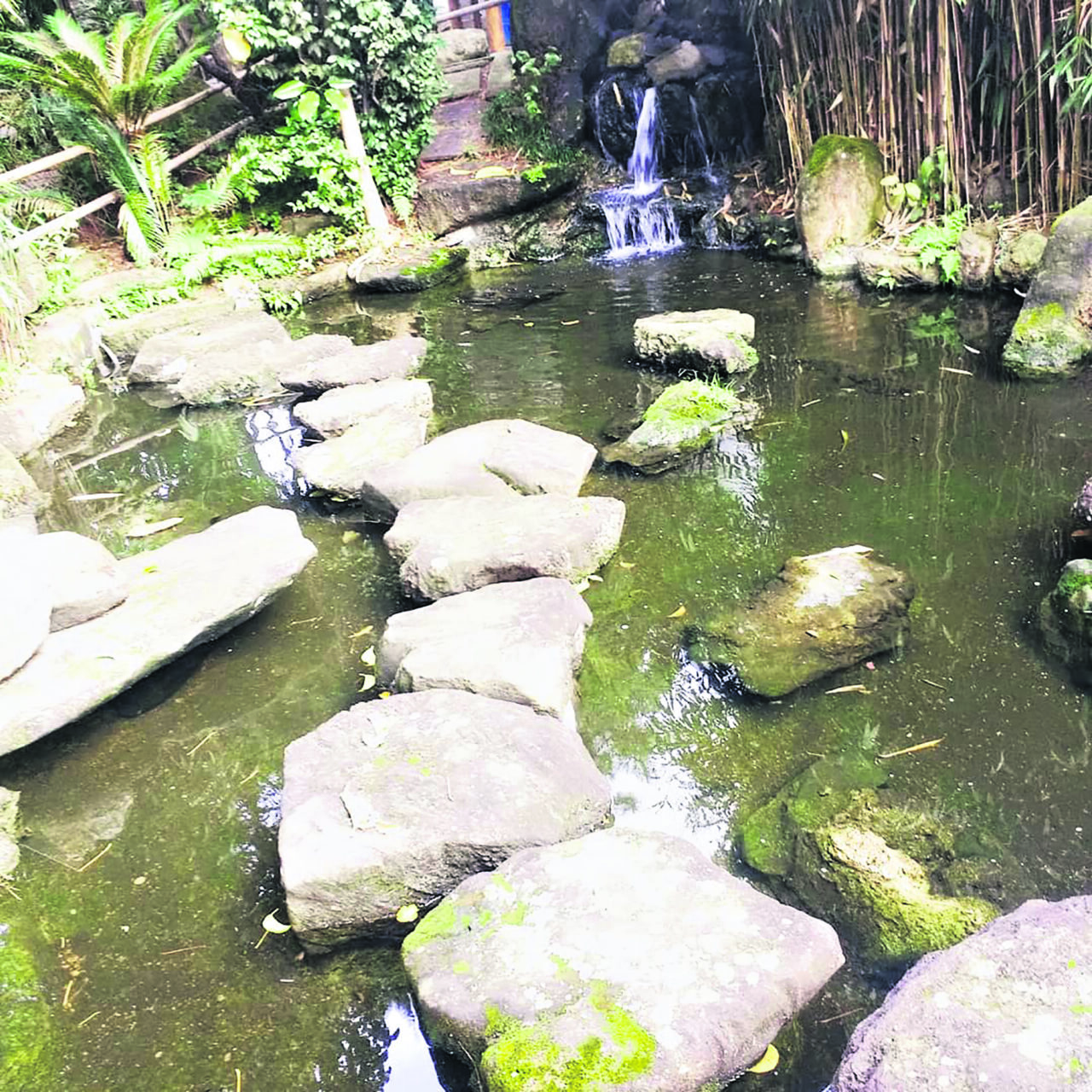 Jardim Oriental: refúgio para descanso e encontros no bairro da ...