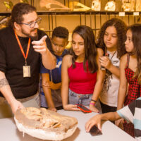 Visita alunos Museu Zoologia