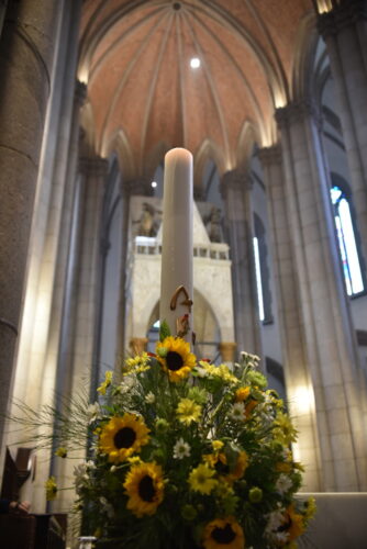 Semana Santa e Domingo de Páscoa: saiba os locais das celebrações com Dom Odilo e os 7 bispos auxiliares