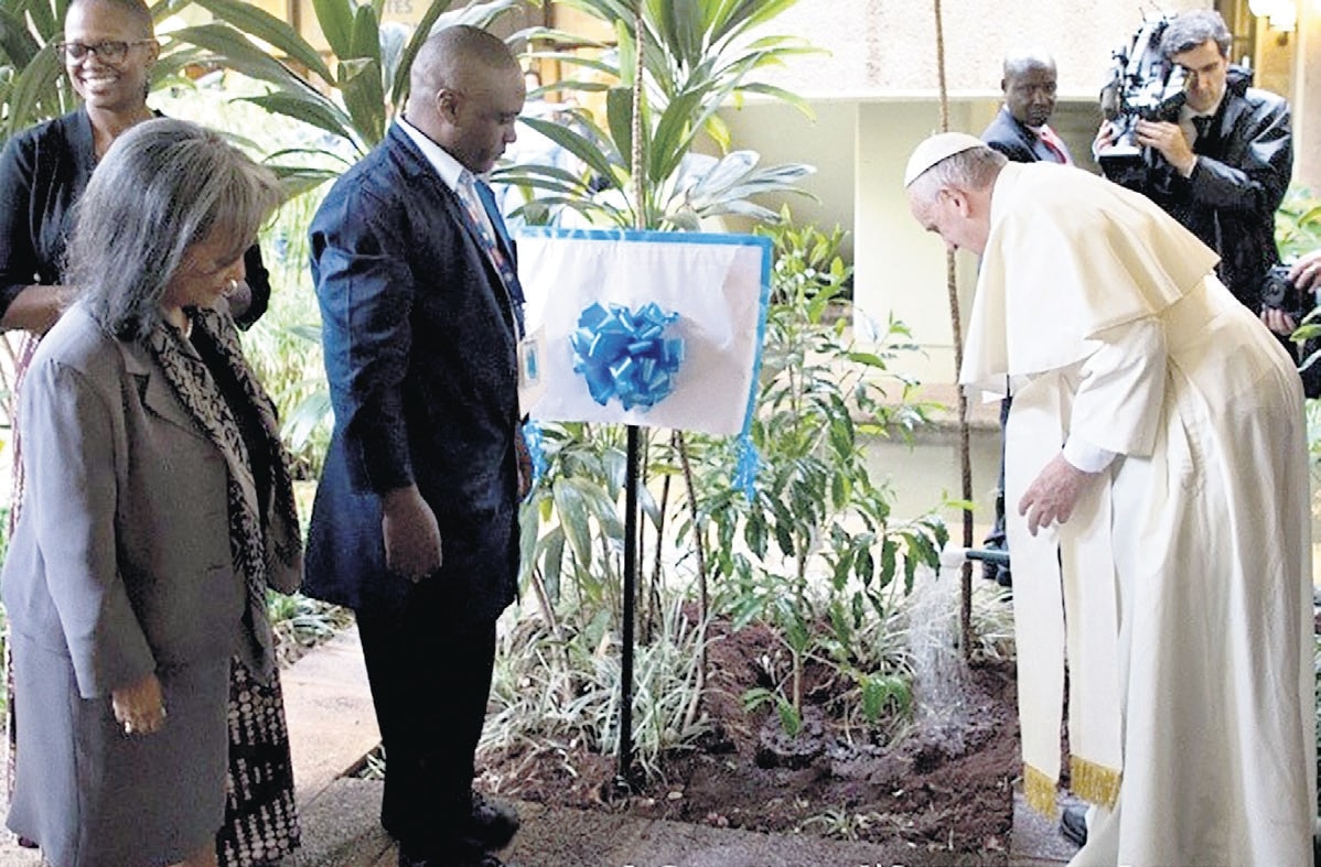 Tudo está interligado: 10 anos da Laudato si’ e do chamado à Ecologia Integral - Jornal O São Paulo