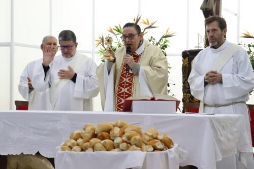 Vicariato para a Pastoral da Saúde e dos Enfermos celebra Festa de Santa Paulina - Jornal O São Paulo