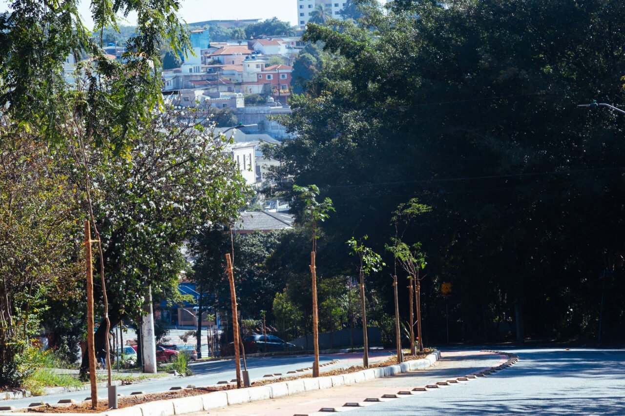 Um caminho de respeito à natureza em meio à urbanização - Jornal O São Paulo