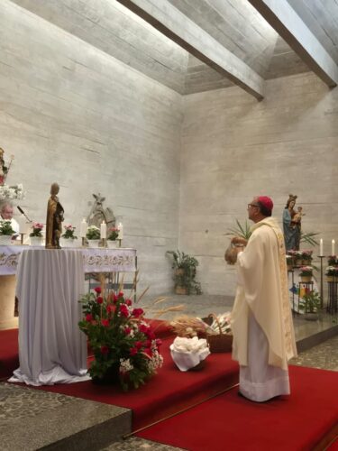 Formações, festas de padroeiro, crismas e peregrinações em destaque na Região Sé