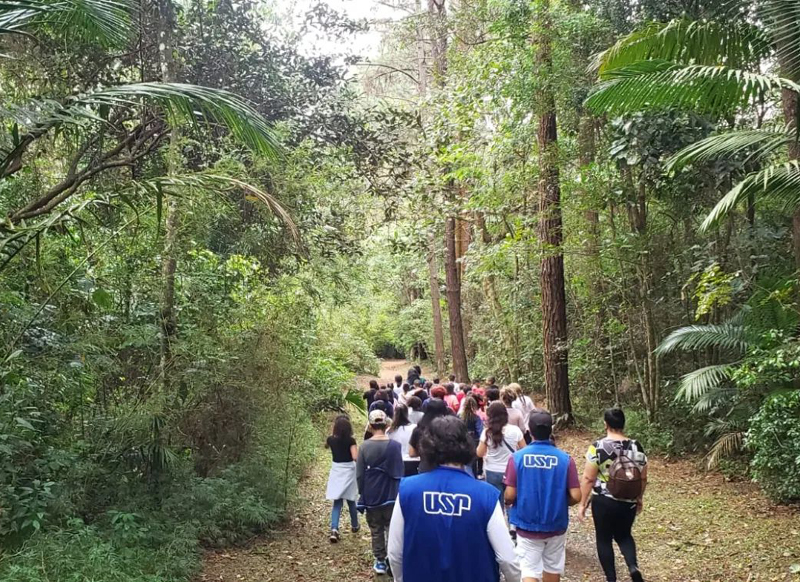 Parque de Ciência e Tecnologia oferece atividades interativas e gratuitas para toda a família nas férias - Jornal O São Paulo