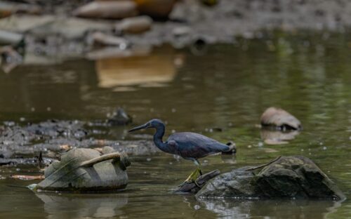 Estudo afirma que o mundo entrou na era da falência hídrica global - Jornal O São Paulo