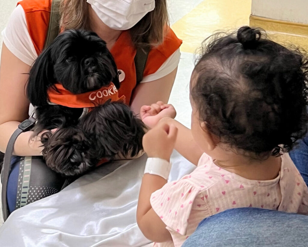 Quando a alegria e o afeto ‘contagiam’ os hospitais - Jornal O São Paulo