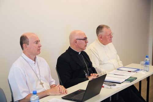 Comissão Especial de Bioética da CNBB debate desafios atuais e planeja novos subsídios para defesa da vida - Jornal O São Paulo