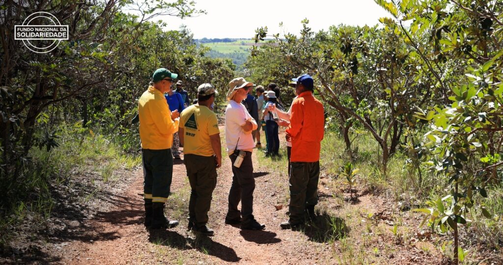 Série ‘Fraternidade em Ação’ apresenta projetos apoiados pelo Fundo Nacional de Solidariedade - Jornal O São Paulo