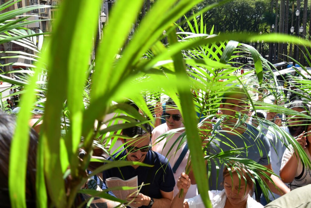 ‘Somos chamados a viver esta semana não como espectadores’, afirma Dom Odilo no Domingo de Ramos - Jornal O São Paulo