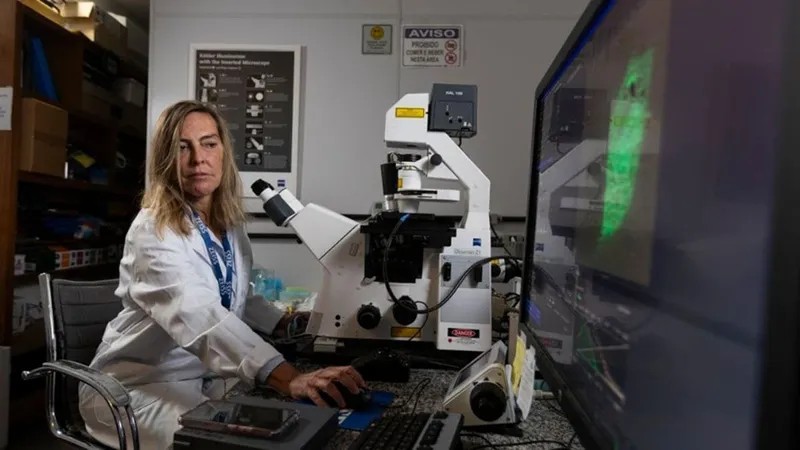 Polilaminina: entenda a esperança e os testes ainda necessários - Jornal O São Paulo