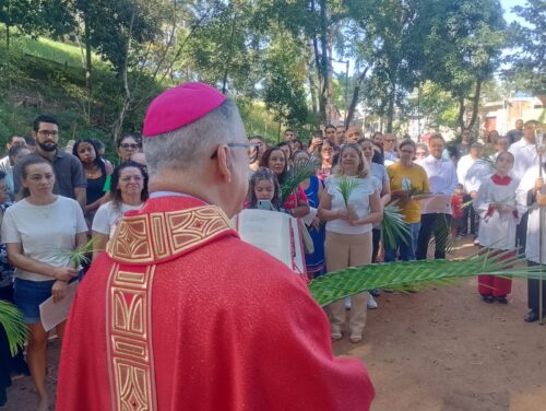 Dom Carlos Silva: ‘Não basta carregar os ramos, é preciso seguir Jesus!’