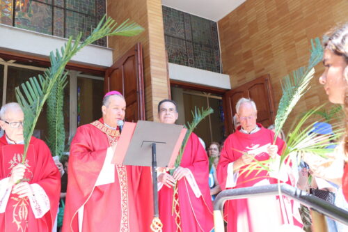 Dom Celso preside missa no Domingo de Ramos na Região Ipiranga