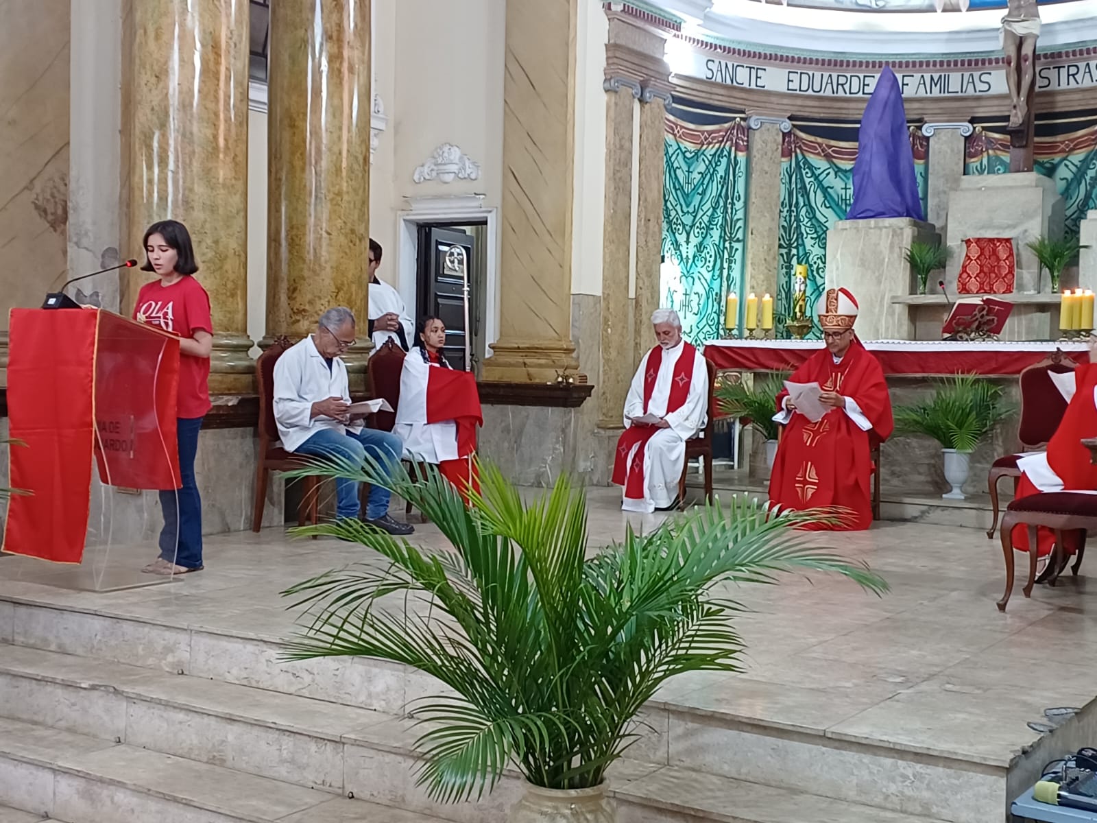 Domingo de Ramos e celebração penitencial do clero são destaques na Região Sé - Jornal O São Paulo