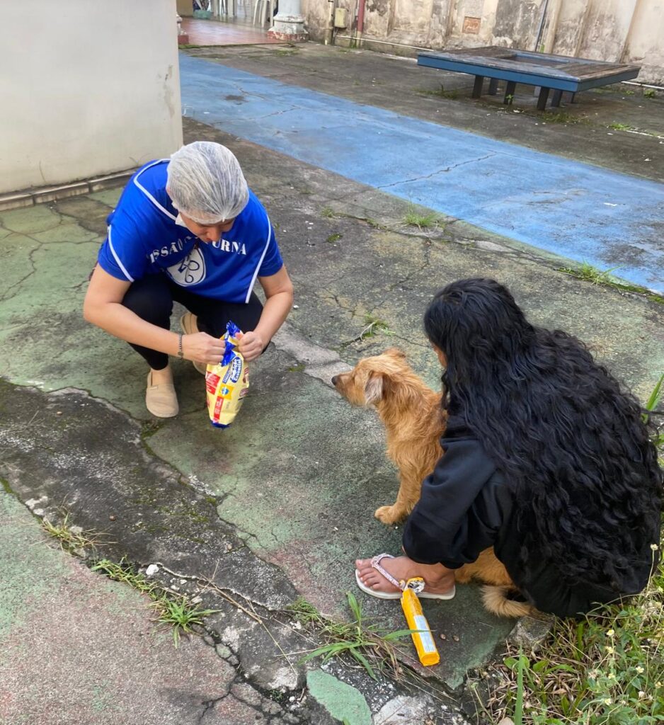 Ipiranga: A misericórdia é expressa na VI Jornada Acolhedora Missionária - Jornal O São Paulo