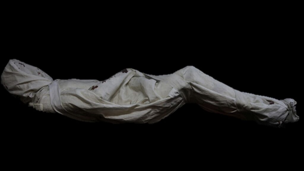 O Sudário de Turim sob uma luz completamente nova - Jornal O São Paulo