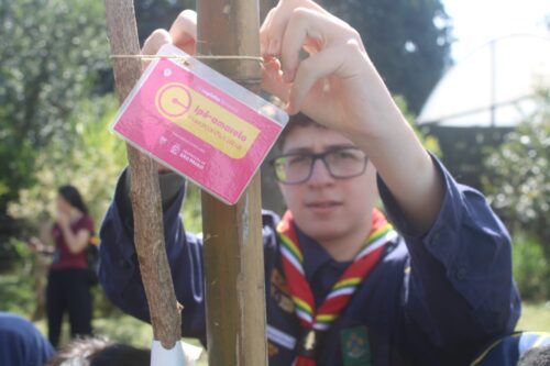 Prefeitura cria o Bosque da Copinha no Centro Esportivo Ceret com plantio de 70 mudas de árvores - Jornal O São Paulo