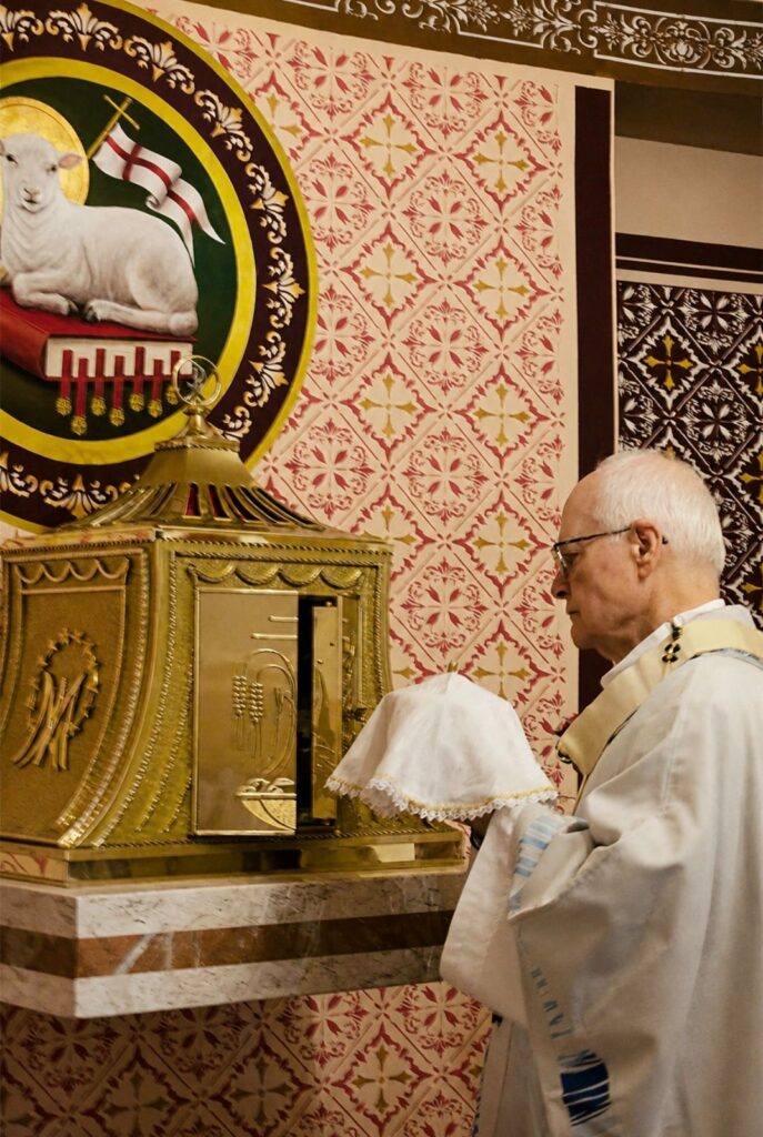 No Imirim, Dom Odilo preside missa e participa de procissão luminosa no dia de Nossa Senhora de Fátima - Jornal O São Paulo