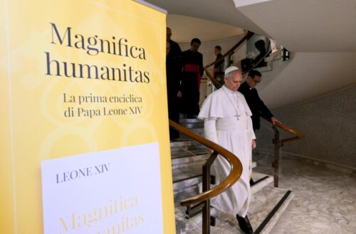 A tecnologia não pode ser desenvolvida em oposição à vida humana  - Jornal O São Paulo