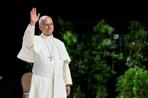 Papa: em nosso DNA está enraizado o desejo do bem, da beleza e da verdade - Jornal O São Paulo