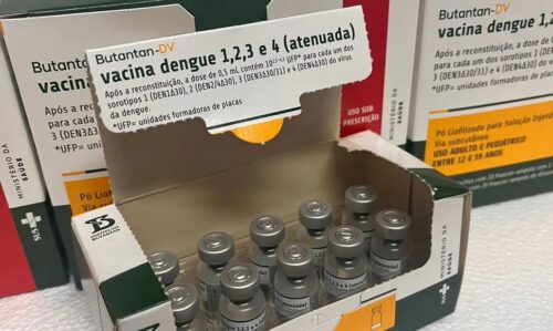 Ministério da Saúde suspende vacina contra a dengue do Butantan - Jornal O São Paulo