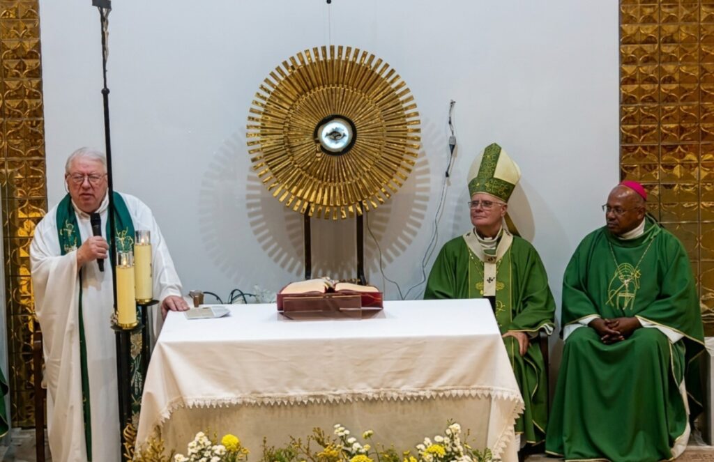 Na Região Sé, paróquias realizam ações caritativas e sacramentais - Jornal O São Paulo