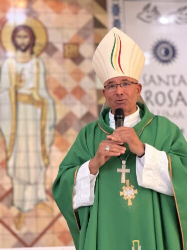 Patriarca de Lisboa celebra missas em paróquias da Brasilândia