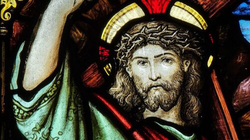 Jesus nos recomenda ser mansos e humildes - Jornal O São Paulo