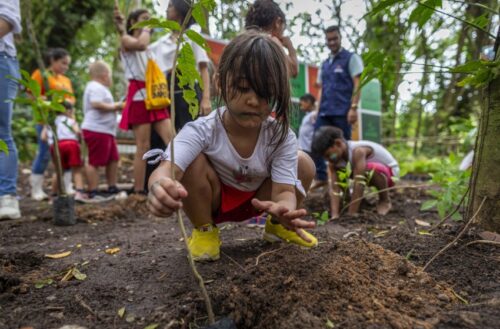 Educação ambiental: na escola, na família e na vida em sociedade - Jornal O São Paulo