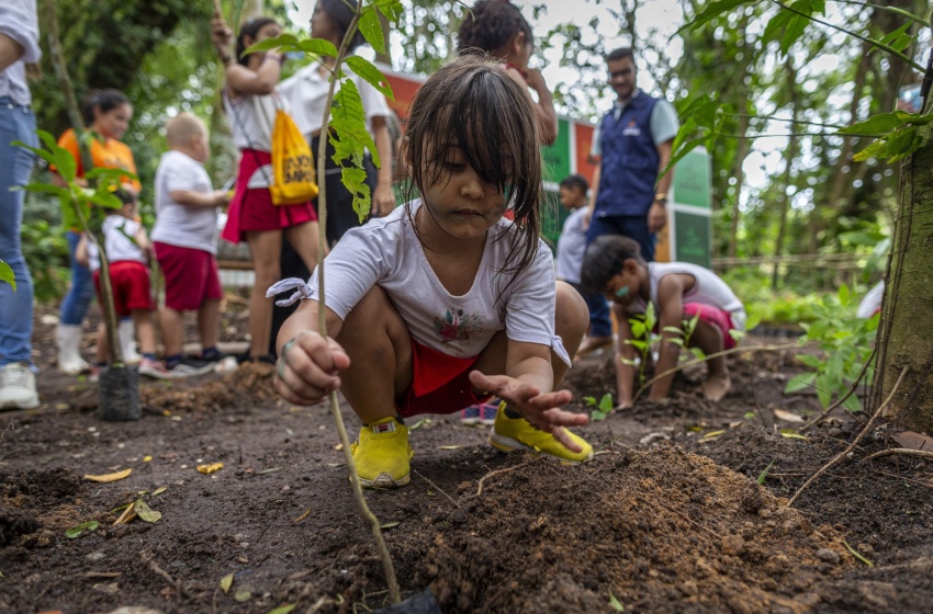 Educação ambiental: na escola, na família e na vida em sociedade - Jornal O São Paulo