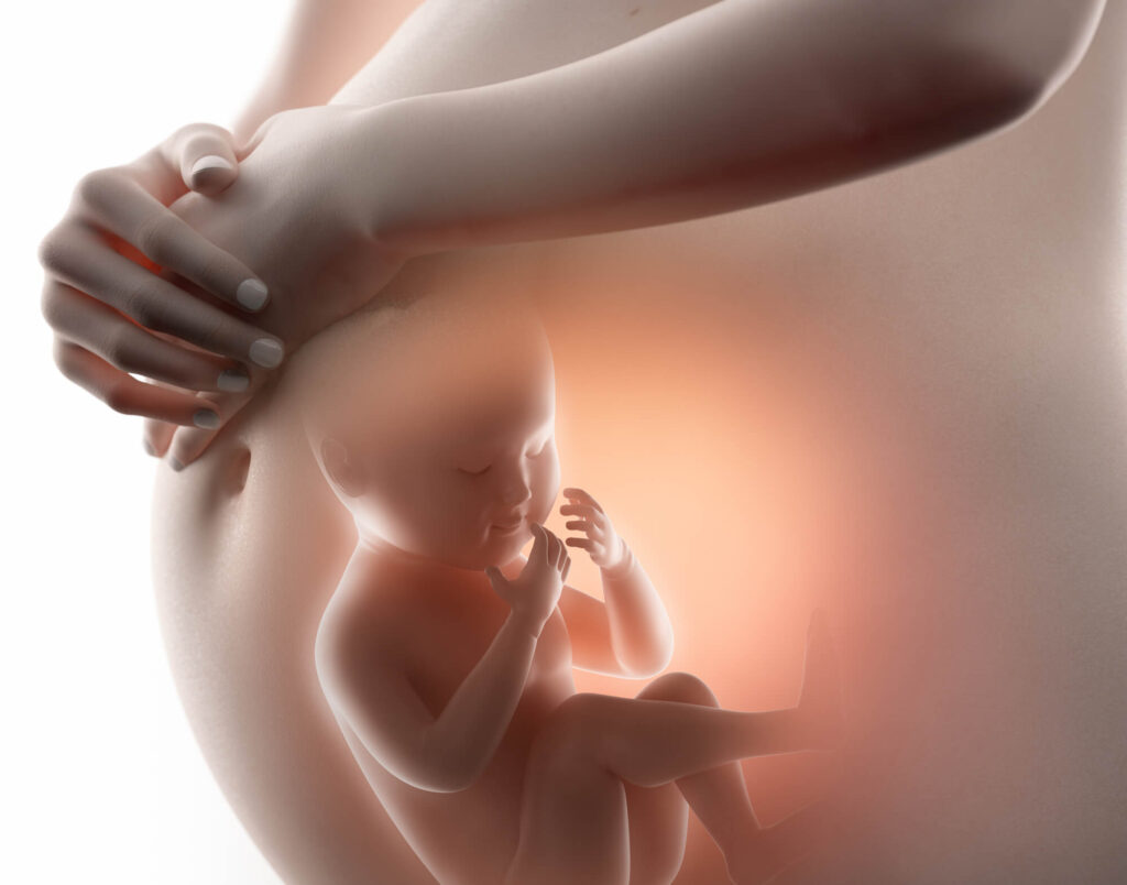 Direito à vida: CNBB apoia Conselho Federal de Medicina em pedido de julgamento sobre assistolia fetal no STF