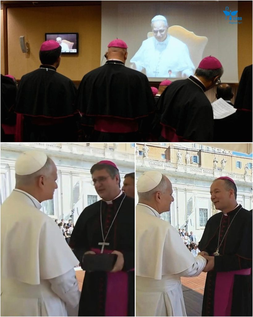 Bispos auxiliares de São Paulo participam de curso de formação para novos bispos no Vaticano