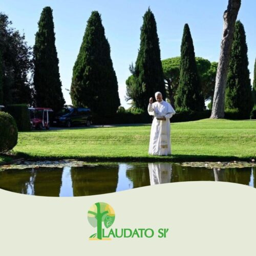 Com ações de sustentabilidade, a Igreja também cuida da casa comum