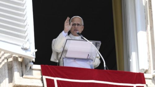 Papa recorda São Francisco: ‘grande operário na vinha do Senhor!’ - Jornal O São Paulo