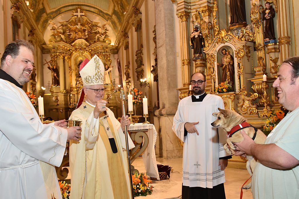 Dom Odilo preside missa na festa de São Francisco de Assis - Jornal O São Paulo