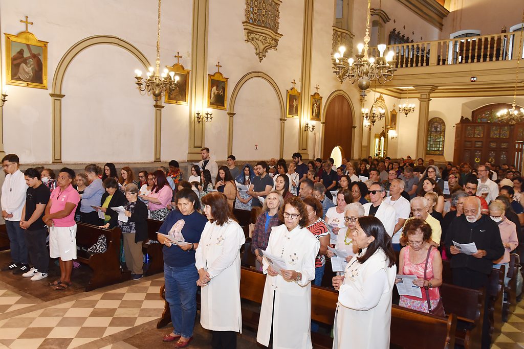 Dom Odilo preside missa na festa de São Francisco de Assis - Jornal O São Paulo