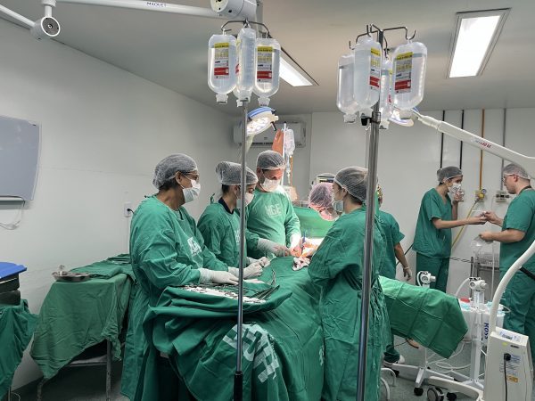 Doação de órgãos: conscientizar as famílias é essencial para salvar vidas - Jornal O São Paulo
