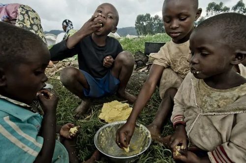 Papa em mensagem à FAO: jamais usar o pão como arma de guerra - Jornal O São Paulo