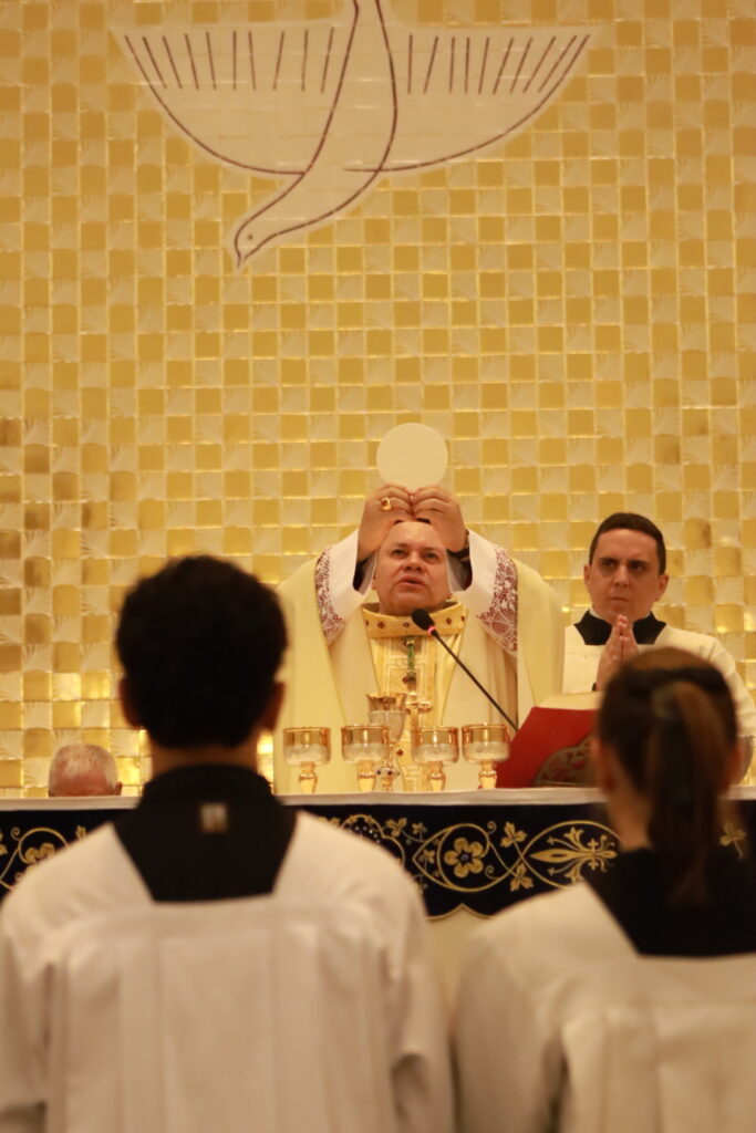 Paróquia Nossa Senhora do Bom Parto celebra sua padroeira no Dia do Nascituro - Jornal O São Paulo