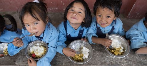 No Dia Mundial da Alimentação, ONU busca inovação para nutrição no futuro - Jornal O São Paulo