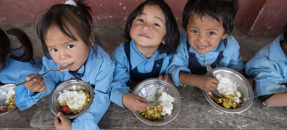 No Dia Mundial da Alimentação, ONU busca inovação para nutrição no futuro - Jornal O São Paulo