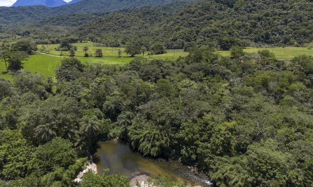 Brasil diminui em 43% área de vegetação nativa fragmentada - Jornal O São Paulo
